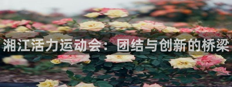 三亿体育