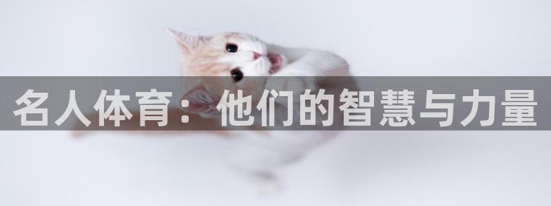 三亿体育