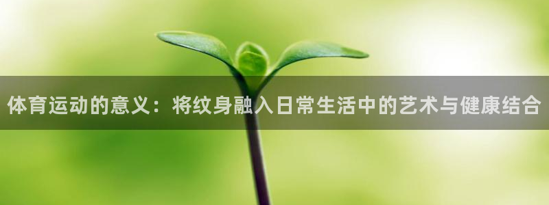 三亿体育网