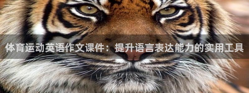 三亿体育网