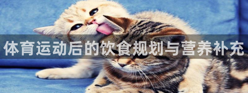 三亿体育网：体育运动后的饮食规划与营养补充