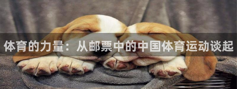 三亿体育网：体育的力量：从邮票中的中国体育运动谈起