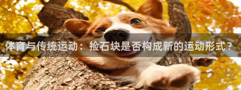 三亿体育网页版：体育与传统运动：捡石块是否构成新的运动形式？