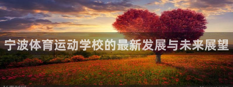 三亿体育网