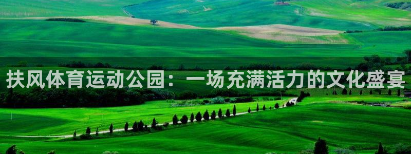 三亿体育登录：扶风体育运动公园：一场充满活力的文化盛宴