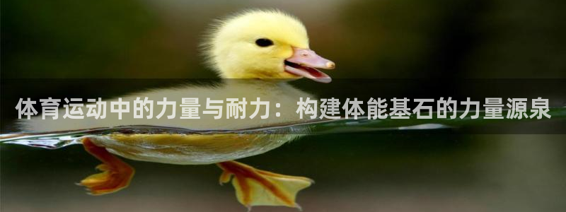 三亿体育网页版：体育运动中的力量与耐力：构建体能基石的力量源泉