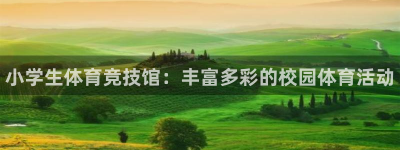 三亿体育网页版：小学生体育竞技馆：丰富多彩的校园体育活动
