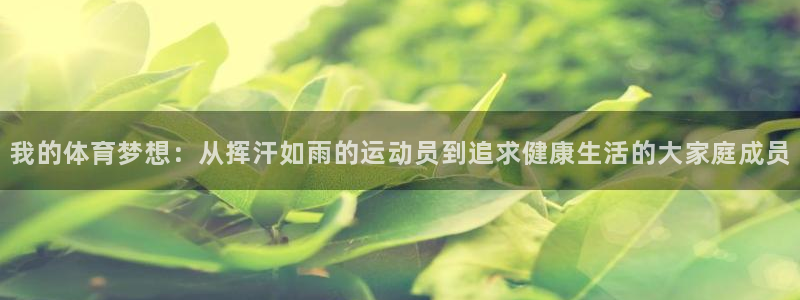 三亿体育登录：我的体育梦想：从挥汗如雨的运动员到追求健康生活的大家庭成员