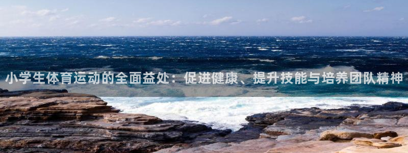 三亿体育网：小学生体育运动的全面益处：促进健康、提升技能与培养团队精神